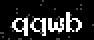 verify code