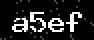 verify code