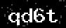 verify code