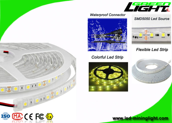 Professional Safety Outdoor Led Strip Lights With 60Leds/M , Fire Resistant
