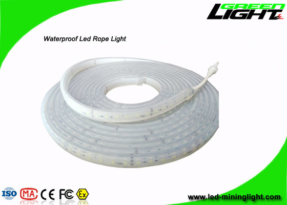 Professional Safety Outdoor Led Strip Lights With 60Leds/M , Fire Resistant