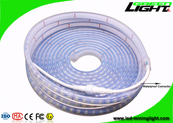 Professional Safety Outdoor Led Strip Lights With 60Leds/M , Fire Resistant