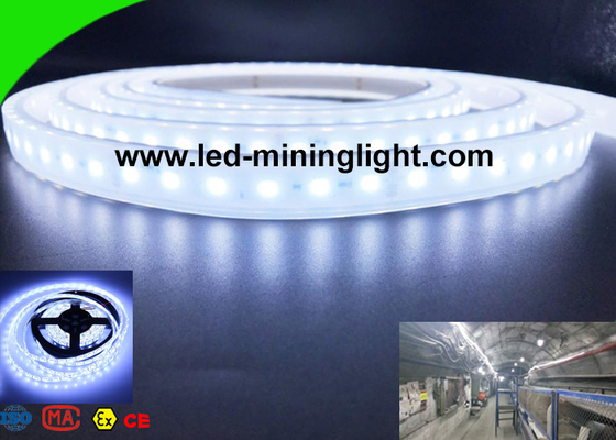 16W/M LED Flexible Strip Lights High Lumen LED Ribbon Lights OEM ODM Service