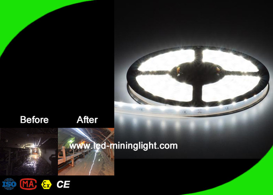 16W/M LED Flexible Strip Lights High Lumen LED Ribbon Lights OEM ODM Service