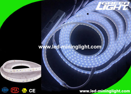 High Brightness Cool White Industrial Underground Led Strip Lights 24 Volt 300 Leds 1 Year Warranty