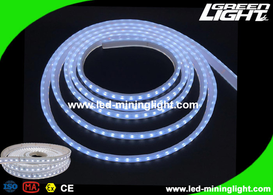 Explosion - Proof Safety Led Flexible Ribbon Strip Lights with 5m 300 Leds 24V IP68