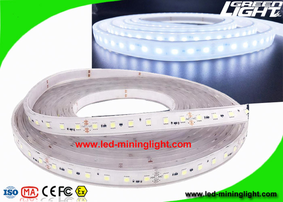 Explosion - Proof Safety Led Flexible Ribbon Strip Lights with 5m 300 Leds 24V IP68