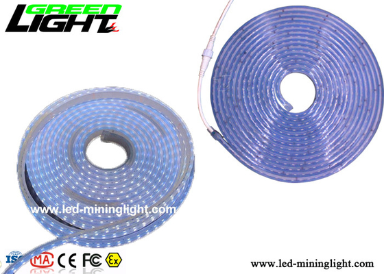 SMD5050 RGB Colors Waterproof Led Strip Lights 24 Volt Low Voltage Explosion Proof