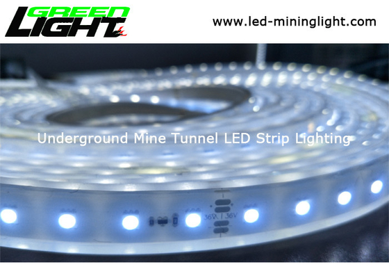 Silicon Standard Range LED Flexible Strip Lights DC 24V Waterproof IP68 Energy Saving