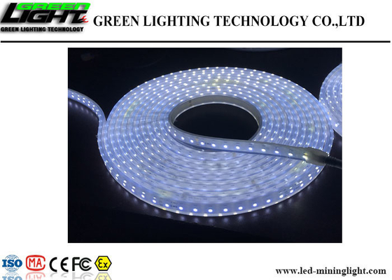 Outdoor LED Flexible Strip Lights 60 Leds / M High Brightness Fire Resistant