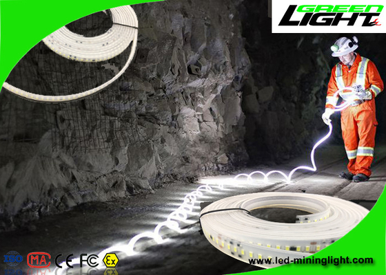Waterproof LED Flexible Strip Lights 24v 60 Leds Per Meter With 1 Year Warranty