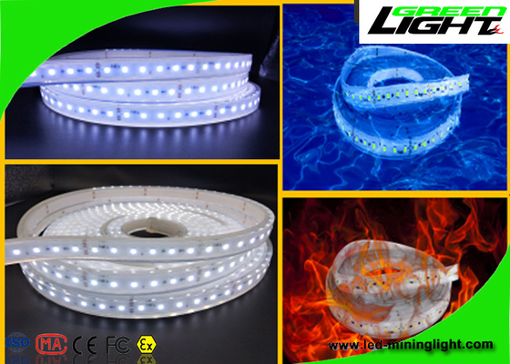 Waterproof LED Flexible Strip Lights 24v 60 Leds Per Meter With 1 Year Warranty