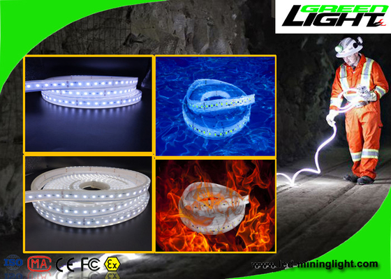 Waterproof LED Flexible Strip Lights 24v 60 Leds Per Meter With 1 Year Warranty