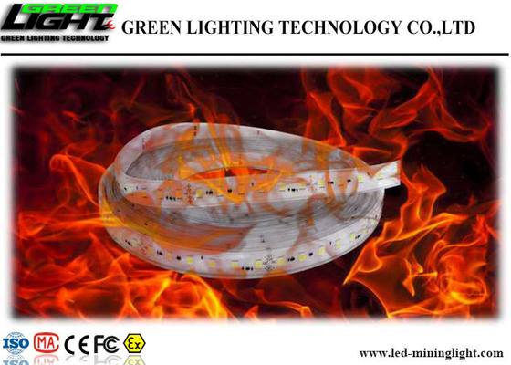 Anti Explosive LED Flexible Strip Lights DC 24V Shock Resistant With Silica Gel