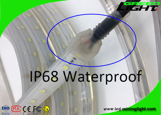 Sillicone Material 12v LED Flexible Strip Lights SMD 5050 IP68 Waterproof 50/60 HZ