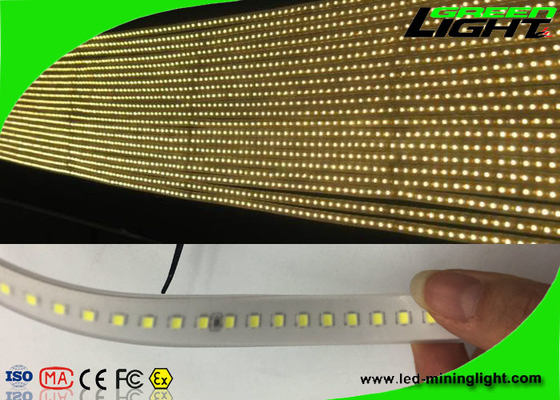 Sillicone Material 12v LED Flexible Strip Lights SMD 5050 IP68 Waterproof 50/60 HZ