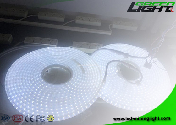 Waterproof IP68 24V 20m 5050 Led Mining Strip Light