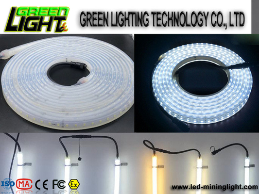 Silicone 12w Ip68 SMD5050 Flexible Led Light Strips