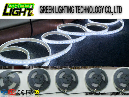 Silicone 12w Ip68 SMD5050 Flexible Led Light Strips