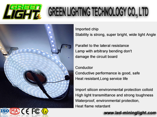 Silicone 12w Ip68 SMD5050 Flexible Led Light Strips