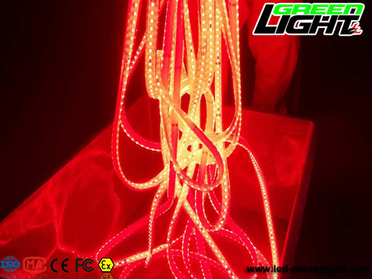 Silicone IP68 12W/M RGB SMD5050 Flexible Led Mining Lights