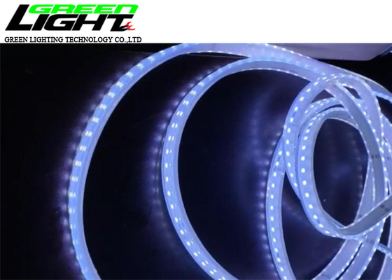 Silicon 12W 6500k 2000Lum/M LED Flexible Strip Lights