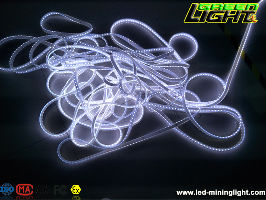 Anti Explosive 5500k 22Lum LED Flexible Strip Light SMD5050 with IP68 impact resistant 5m/roll high brightness 	DC24V