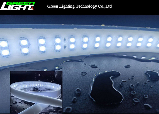 Dual Row 6500k SMD5050 LED Silicone Strip Light 12W/M