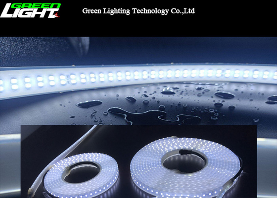 Dual Row 6500k SMD5050 LED Silicone Strip Light 12W/M