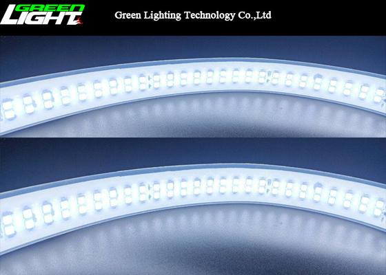 Dual Row 6500k SMD5050 LED Silicone Strip Light 12W/M