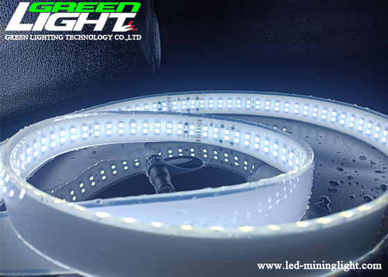 SMD2835 AC110V LED Neon Strip Lights White Color Silicone Double Row