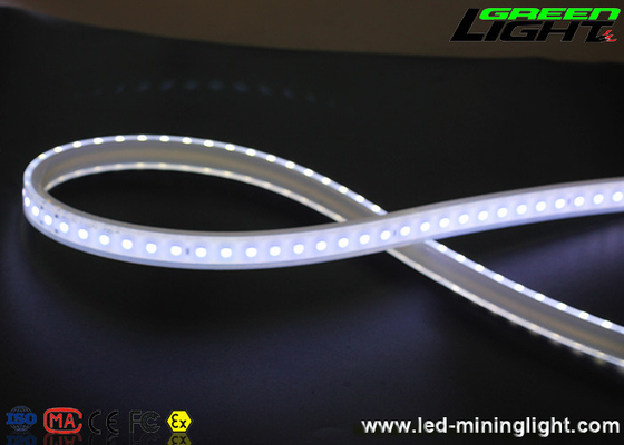 SMD5050 IP68 LED Flexible Strip Lights 170VAC Silicone