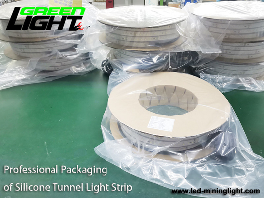 IP68 6500K SMD5050 Waterproof Led Strip Lights 12V RGB ATEX