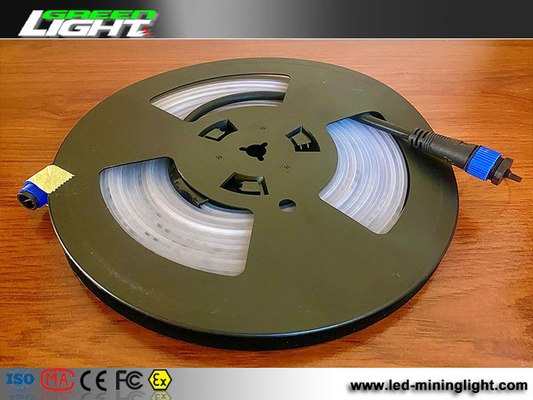 3100 Lumens SMD5050 Double Row Led Strip Silicon 220VAC 35W/M For Tunnel