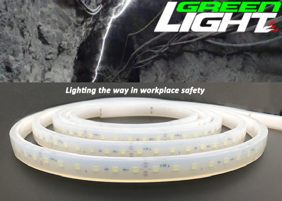 1630lum 220V 17W/M LED Flexible Strip Lights Anti Explosive RGB SMD2835