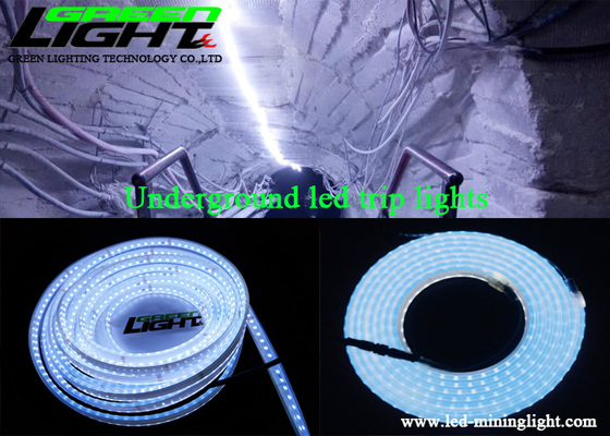 DC24V SMD5050 Silicone Led Strip Lights 1100lm For Mining