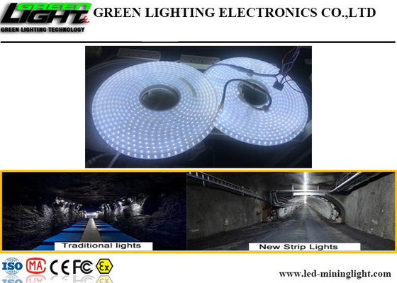 1100LM IP68 Waterproof Led Strip Lights 15W 110V Anti Alkali SMD5050 Silicone Material
