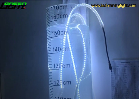 1100 Lumen/M Flexible LED Strip Lights 24V Underground Silicone 5050 RGB Color Changing LED Strip Lights for Outdoor
