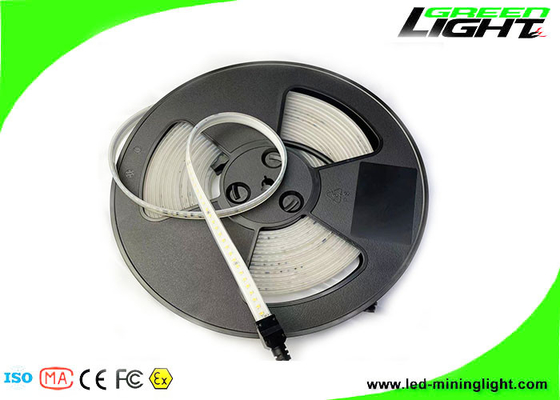 Strong Bright Silicone LED Flexible Strip Lights SMD 5050 DC24V/36V Waterproof IP 68 Outdoor Led Strip Lights