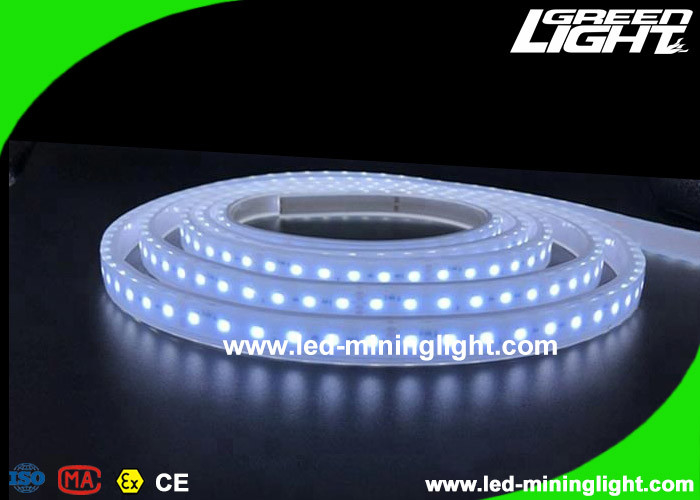 Explosion - Proof Safety Led Flexible Ribbon Strip Lights with 5m 300 Leds 24V IP68
