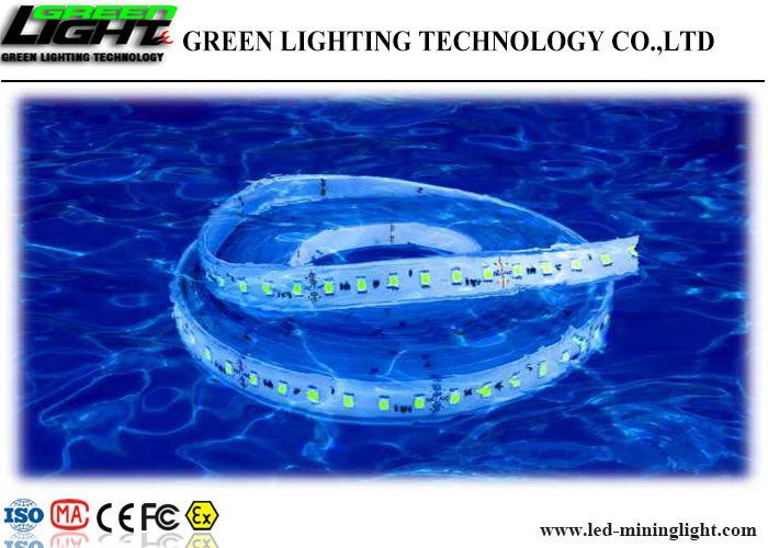 Low Voltage 24V Led Flexible Cable Strip Lighting Silica Gel 5m/ Reel Energy Saving